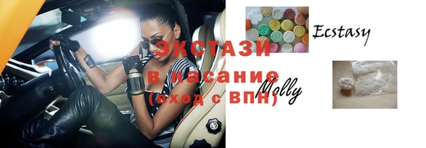 ешки Ельня