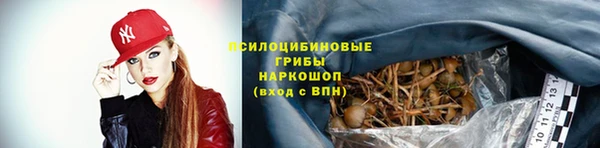не бодяженный Елабуга
