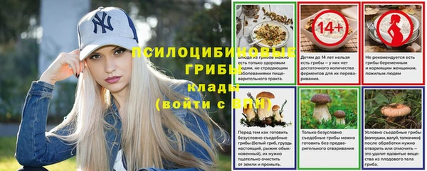 ALPHA-PVP Елизово