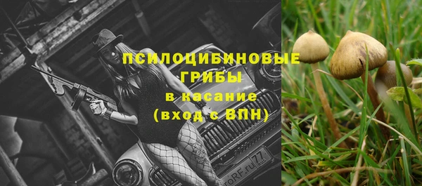 не бодяженный Елабуга