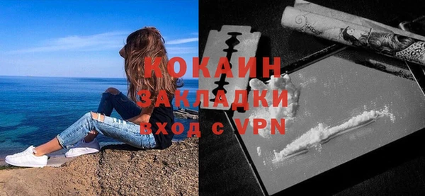 ешки Ельня