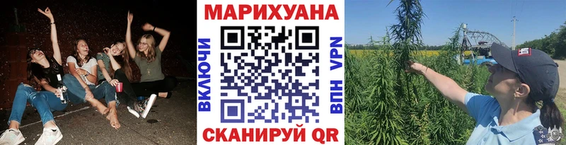Купить закладки  Очёр  Каннабис ГИДРОПОН 